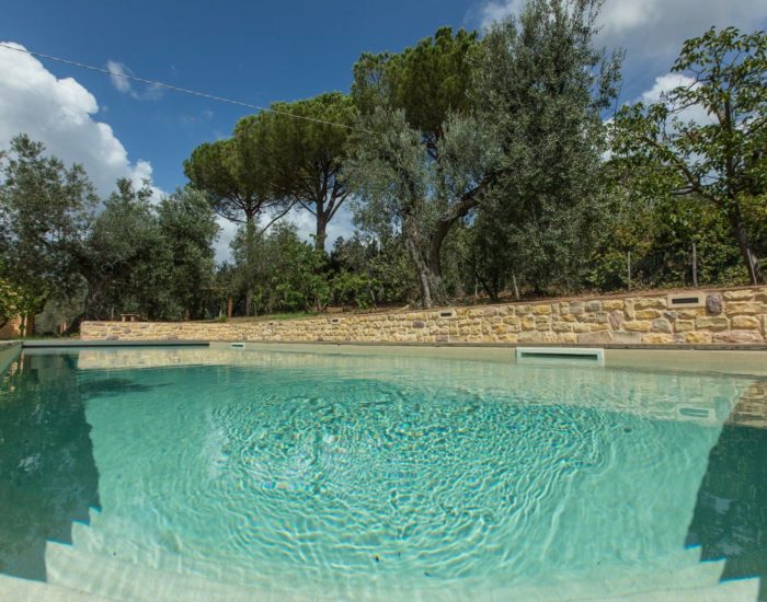 43411583_2222887917756489_1094912362047078400_o 43411583_2222887917756489_1094912362047078400_o